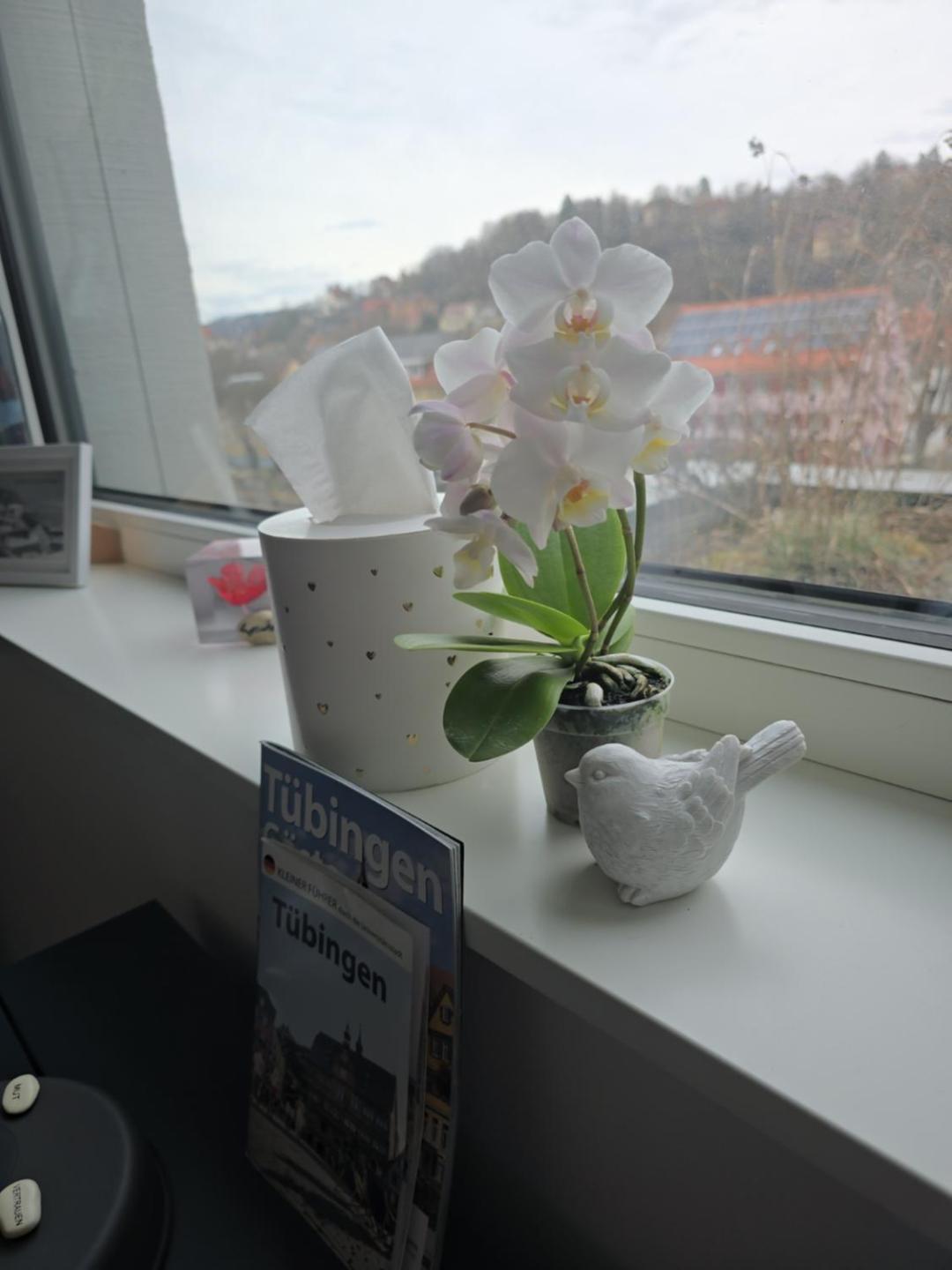 Stadtnahes Gaestezimmer Im Penthouse Bei Esi Tuebingen Exterior photo